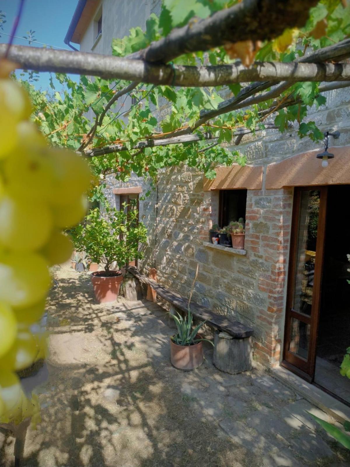 La Fonte B&B Pietralunga  Exterior foto