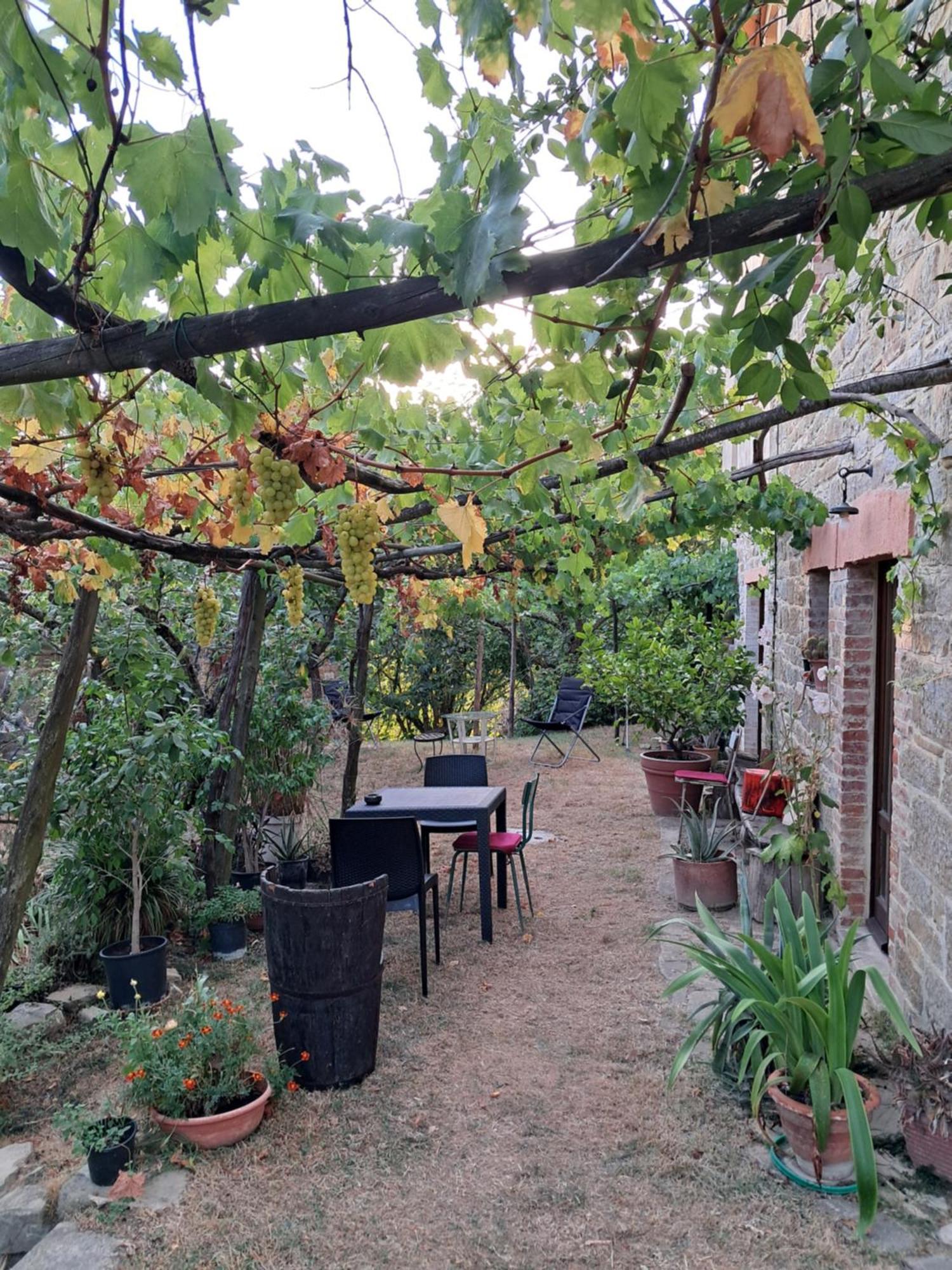 La Fonte B&B Pietralunga  Exterior foto